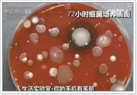 央视曝光手机多脏2.jpg 图片来源网络 央视曝光手机多脏2.jpg 图片来源网络