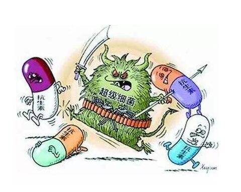 超级细菌.jpg