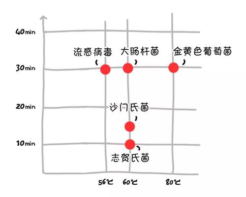 开水消毒效果图.bmp